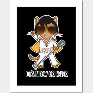 It's meow or never Posters and Art